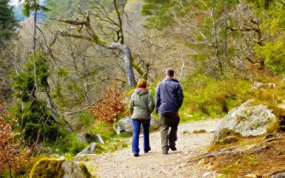 Walking – Be Sure to Stretch